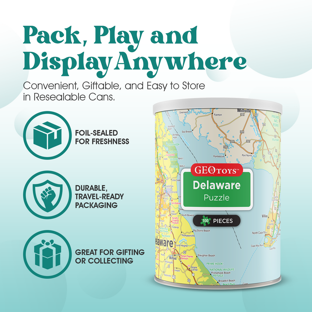 100-Piece Mini Puzzle - Delaware