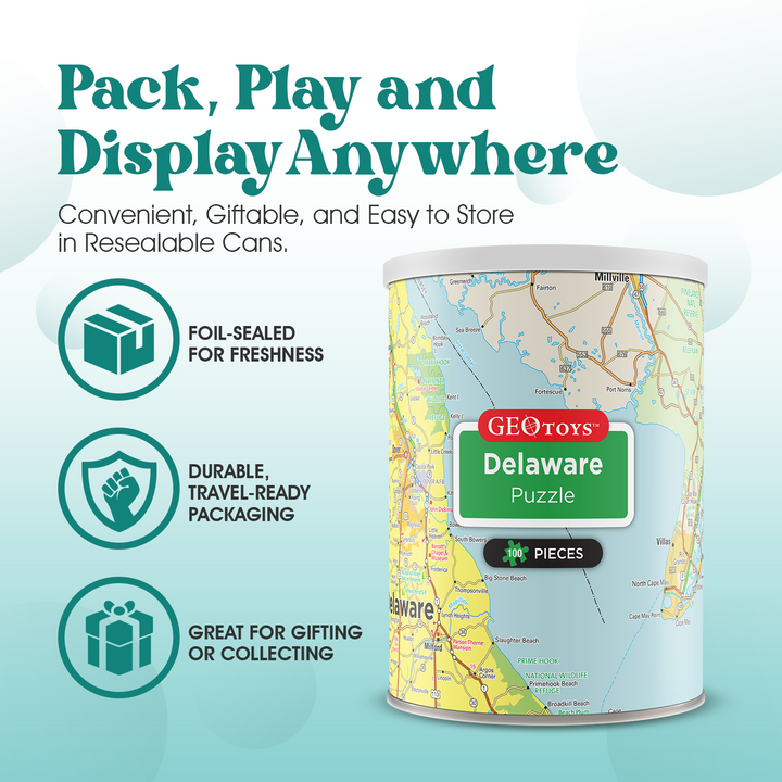 100-Piece Mini Puzzle - Delaware
