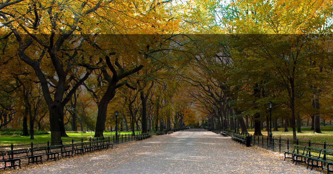 The People Behind Geotoys: Claire Lynch