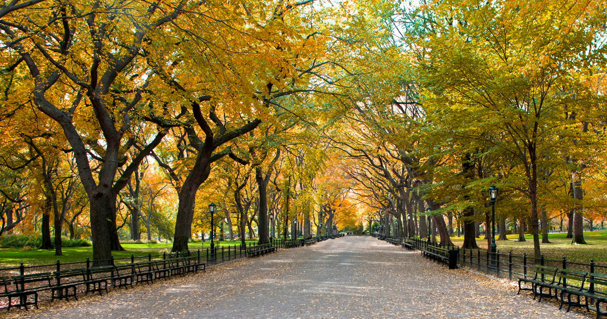 The People Behind Geotoys: Claire Lynch