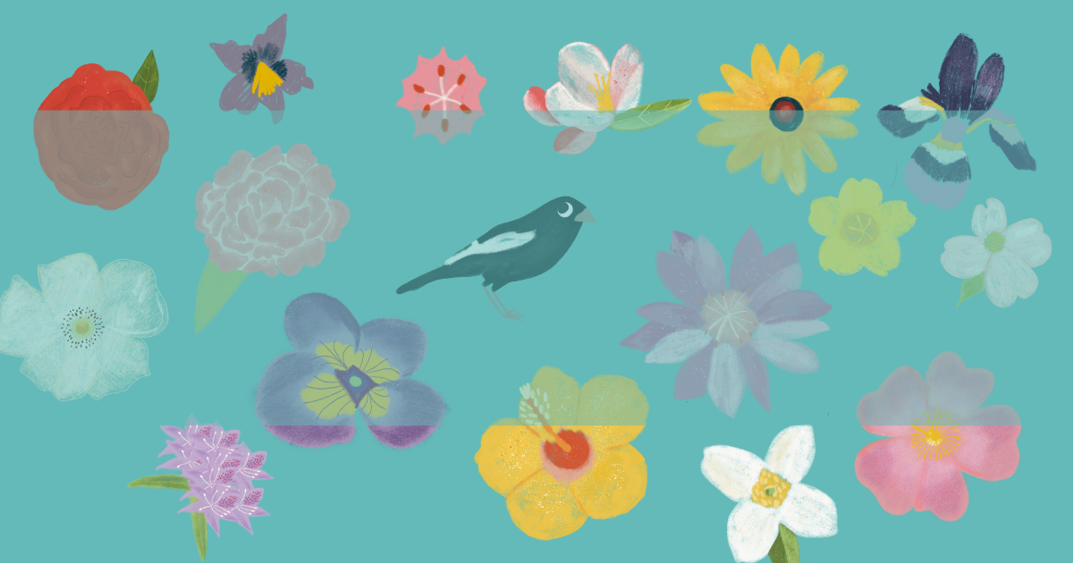 The People Behind Geotoys: Mandy Sloan Meador