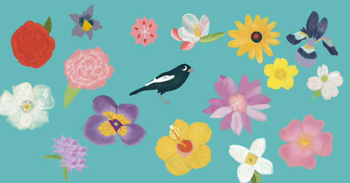 The People Behind Geotoys: Mandy Sloan Meador