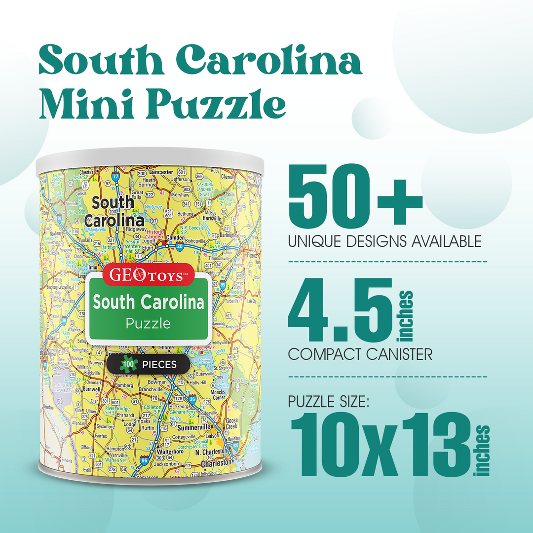 100-Piece Mini Puzzle - South Carolina