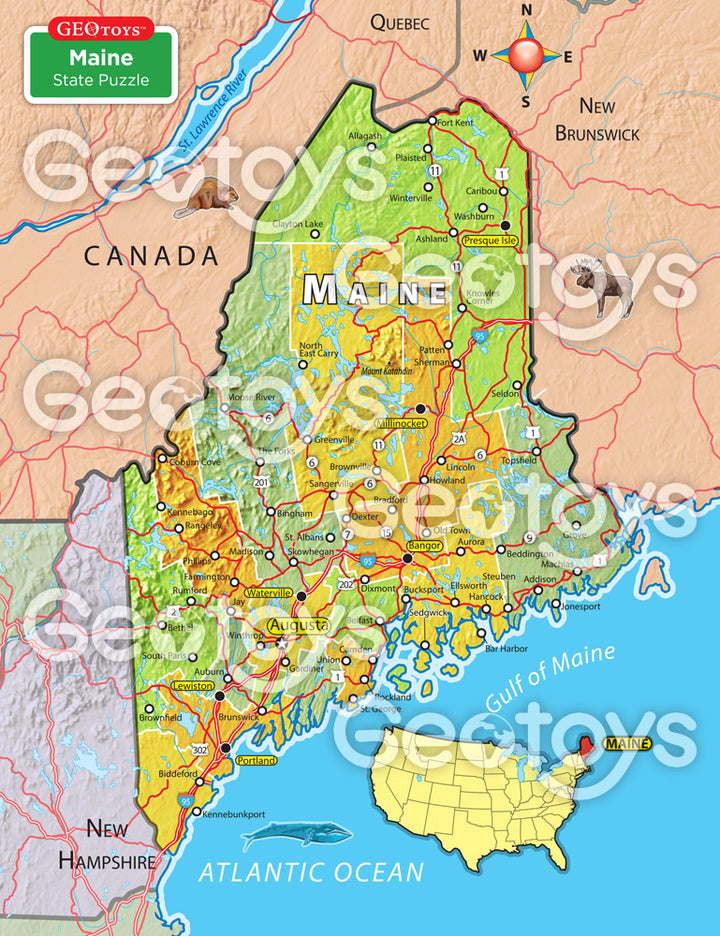 100-Piece Mini Puzzle - Maine